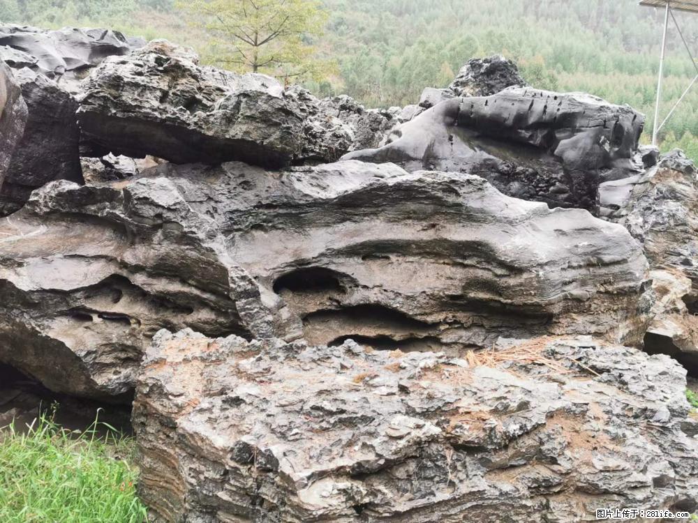 风景石、假山石大量有货，有需要的欢迎联系 - 新手上路 - 秦皇岛生活社区 - 秦皇岛28生活网 qhd.28life.net