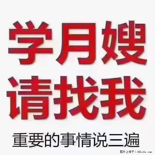 为什么要学习月嫂，育婴师？ - 新手上路 - 秦皇岛生活社区 - 秦皇岛28生活网 qhd.28life.net