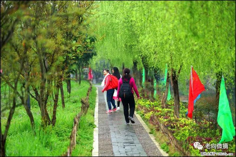 【春天，广西桂林灌阳县向您发出邀请！】江口老街又逢春 - 游山玩水 - 秦皇岛生活社区 - 秦皇岛28生活网 qhd.28life.net