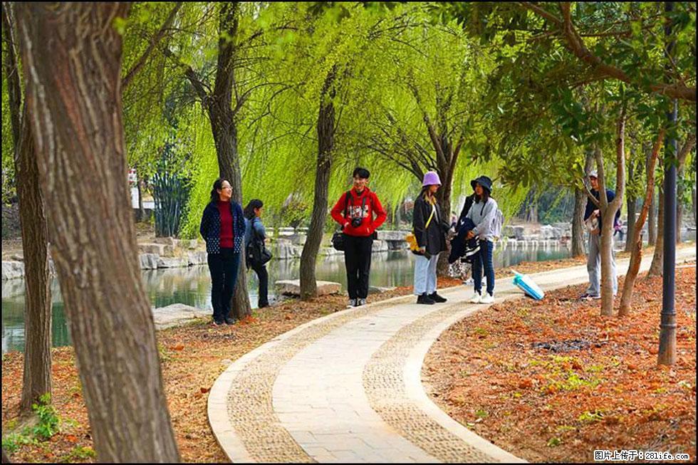 【春天，广西桂林灌阳县向您发出邀请！】江口老街又逢春 - 游山玩水 - 秦皇岛生活社区 - 秦皇岛28生活网 qhd.28life.net