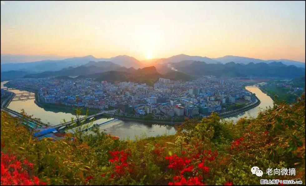 【春天，广西桂林灌阳县向您发出邀请！】登麒麟山，相约映山红 - 游山玩水 - 秦皇岛生活社区 - 秦皇岛28生活网 qhd.28life.net