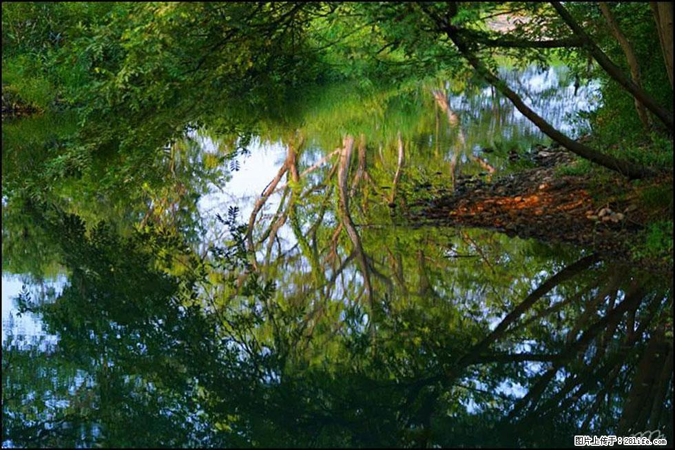 【春天，广西桂林灌阳县向您发出邀请！】熊家寨湿地公园 - 游山玩水 - 秦皇岛生活社区 - 秦皇岛28生活网 qhd.28life.net