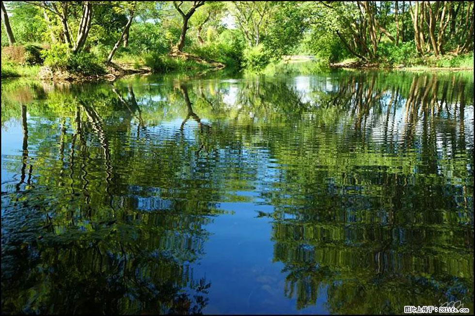 【春天，广西桂林灌阳县向您发出邀请！】熊家寨湿地公园 - 游山玩水 - 秦皇岛生活社区 - 秦皇岛28生活网 qhd.28life.net