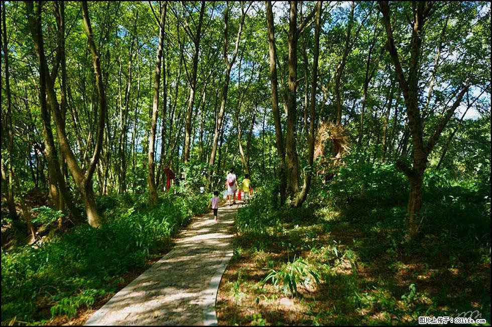 【春天，广西桂林灌阳县向您发出邀请！】熊家寨湿地公园 - 游山玩水 - 秦皇岛生活社区 - 秦皇岛28生活网 qhd.28life.net