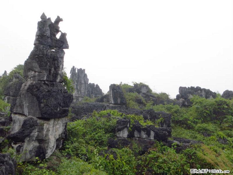 桂林旅游名城景点：灌阳文市石林 - 游山玩水 - 秦皇岛生活社区 - 秦皇岛28生活网 qhd.28life.net