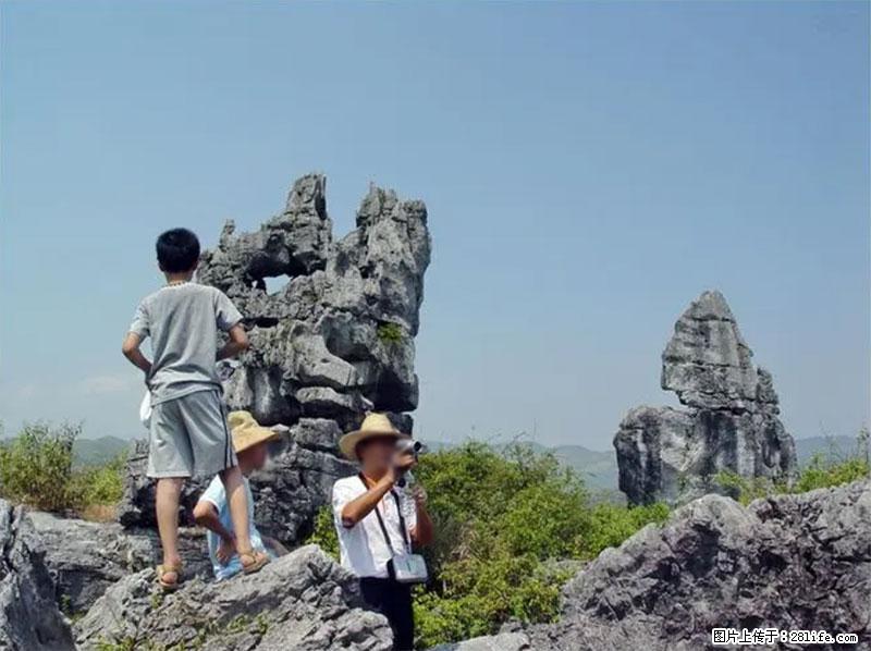 桂林旅游名城景点：灌阳文市石林 - 游山玩水 - 秦皇岛生活社区 - 秦皇岛28生活网 qhd.28life.net