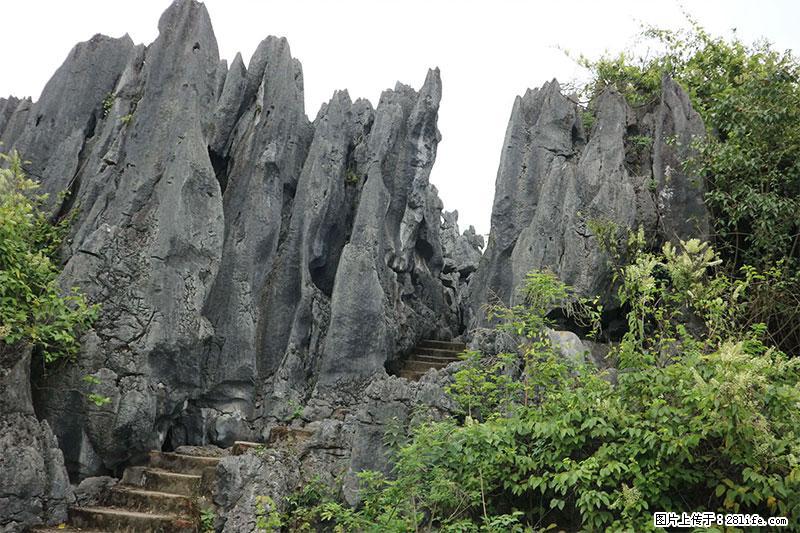 桂林旅游名城景点：灌阳文市石林 - 游山玩水 - 秦皇岛生活社区 - 秦皇岛28生活网 qhd.28life.net