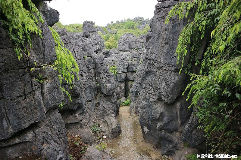 桂林旅游名城景点：灌阳文市石林 - 游山玩水 - 秦皇岛生活社区 - 秦皇岛28生活网 qhd.28life.net
