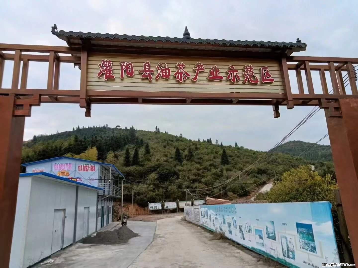 【灌阳县油茶产业示范区】一个有着充实的精神生活的人，对待身外之物自会有一种淡泊的态度 - 美食天地 - 秦皇岛生活社区 - 秦皇岛28生活网 qhd.28life.net
