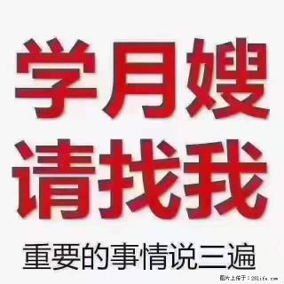 为什么要学习月嫂，育婴师？ - 秦皇岛28生活网 qhd.28life.net