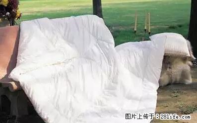 被子有异味？只要这样做，比晒太阳还强100倍！ - 家居生活 - 秦皇岛生活社区 - 秦皇岛28生活网 qhd.28life.net