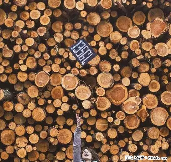 辞掉工作周游世界？现在他们在洗厕所…… - 游山玩水 - 秦皇岛生活社区 - 秦皇岛28生活网 qhd.28life.net