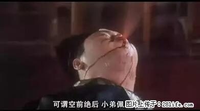 笑癫了！一女的怀孕三年未生，他终于忍不住了... - 娱乐八卦 - 秦皇岛生活社区 - 秦皇岛28生活网 qhd.28life.net