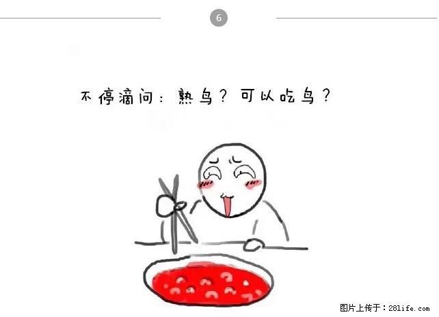 千万不要和这9种哈卵一起吃火锅！ - 美食天地 - 秦皇岛生活社区 - 秦皇岛28生活网 qhd.28life.net