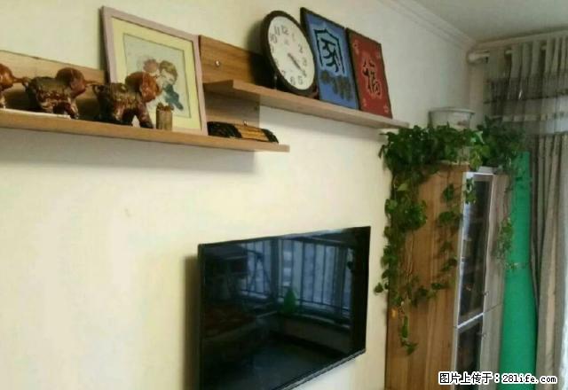 燕大西苑 精装 正规一室一厅 年租14000包暖包物业 - 房屋出租 - 房屋租售 - 秦皇岛分类信息 - 秦皇岛28生活网 qhd.28life.net