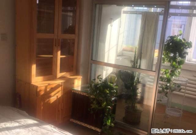 新建树三居出租,谁看谁相中，拎包即住，家具家电全，房子很干净 - 房屋出租 - 房屋租售 - 秦皇岛分类信息 - 秦皇岛28生活网 qhd.28life.net