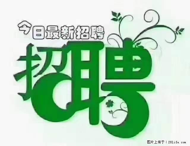 【招聘摄像师】待遇：试用期6000元/月，转正7000元/月+五险一金+餐补+节日福利+奖金 - 其他招聘信息 - 招聘求职 - 秦皇岛分类信息 - 秦皇岛28生活网 qhd.28life.net