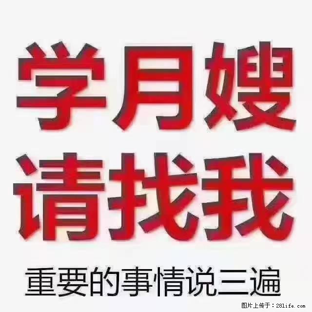 【招聘】月嫂，上海徐汇区 - 职场交流 - 秦皇岛生活社区 - 秦皇岛28生活网 qhd.28life.net