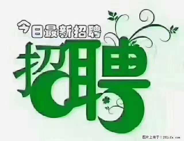 上海青浦区招仓管 - 职场交流 - 秦皇岛生活社区 - 秦皇岛28生活网 qhd.28life.net