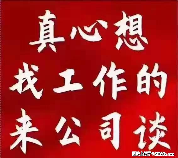 【上海】国企，医院招两名男保安，55岁以下，身高1.7米以上，无犯罪记录不良嗜好 - 职场交流 - 秦皇岛生活社区 - 秦皇岛28生活网 qhd.28life.net