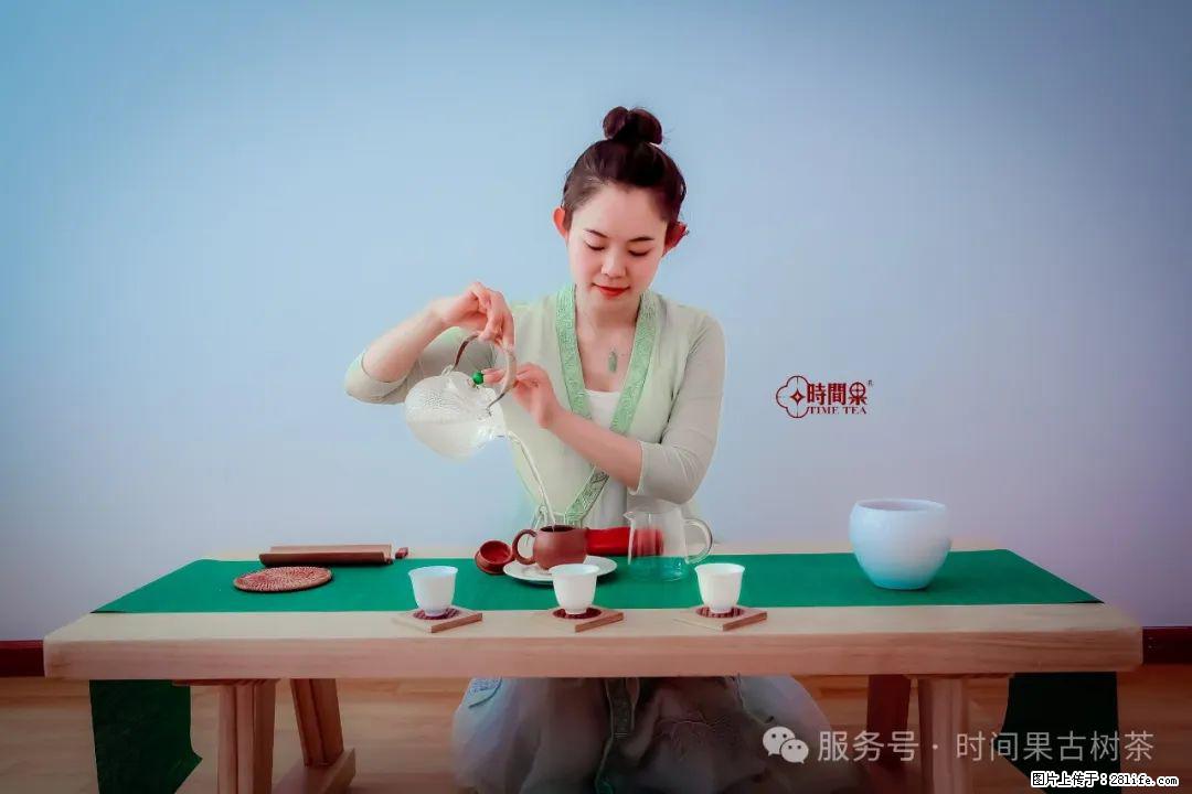 时间果百年古树龙珠普洱生茶 - 购物交流 - 秦皇岛生活社区 - 秦皇岛28生活网 qhd.28life.net