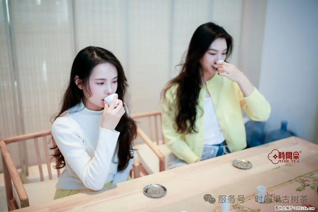 时间果百年古树龙珠普洱生茶 - 购物交流 - 秦皇岛生活社区 - 秦皇岛28生活网 qhd.28life.net