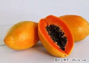 晕车、脚气、牙齿变黄、皮肤粗糙？学会这些三分钟搞定！ - 秦皇岛生活资讯 - 秦皇岛28生活网 qhd.28life.net