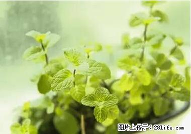 晕车、脚气、牙齿变黄、皮肤粗糙？学会这些三分钟搞定！ - 秦皇岛生活资讯 - 秦皇岛28生活网 qhd.28life.net
