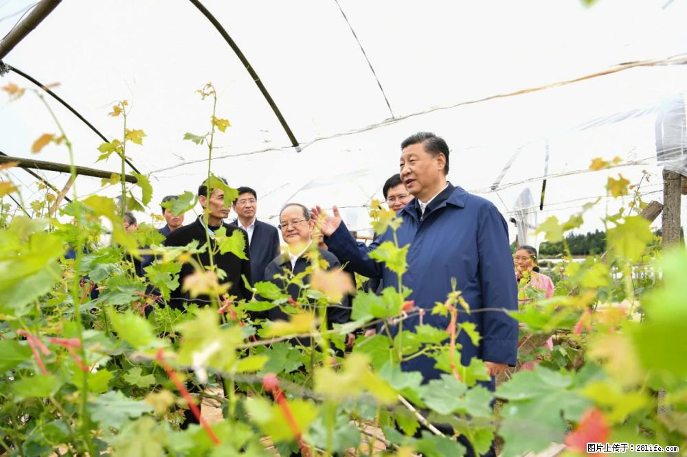 习近平赴广西考察调研 - 秦皇岛生活资讯 - 秦皇岛28生活网 qhd.28life.net