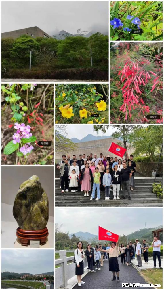 “粤灌文化 美好生活”油茶文化主题活动在广东深圳成功举办 - 秦皇岛生活资讯 - 秦皇岛28生活网 qhd.28life.net