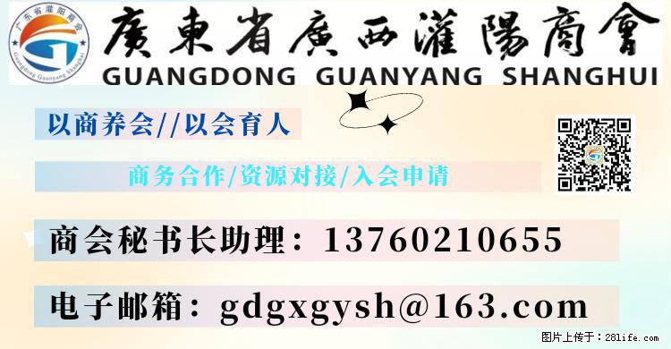 “粤灌文化 美好生活”油茶文化主题活动在广东深圳成功举办 - 秦皇岛生活资讯 - 秦皇岛28生活网 qhd.28life.net