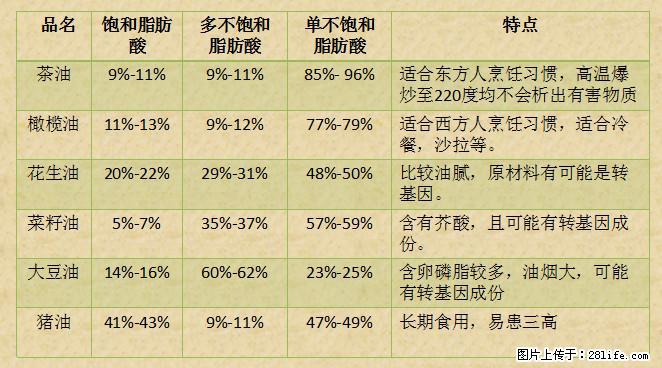 揭秘茶油的5大核心营养成分！被称为人体健康的“守护盾”！ - 秦皇岛生活资讯 - 秦皇岛28生活网 qhd.28life.net