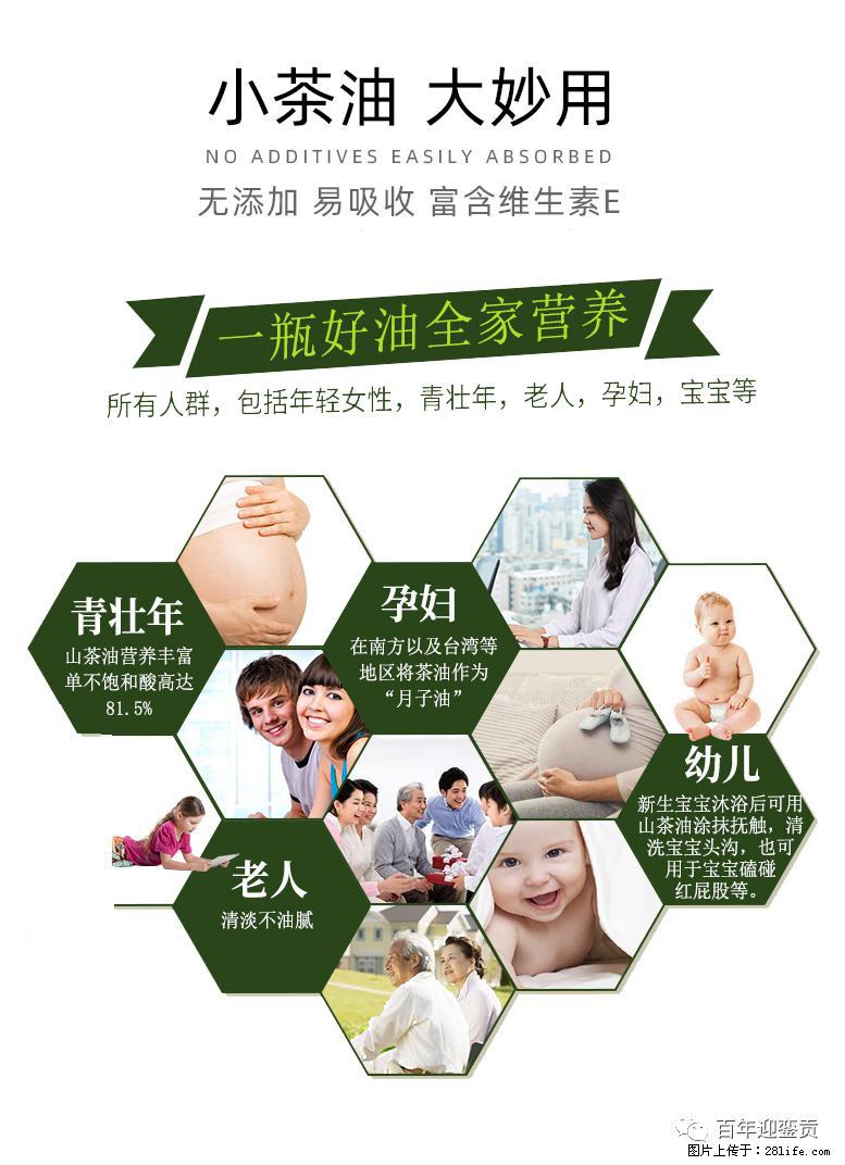 世界没有真相，只有认知，最好的食用油是中国的山茶油！ - 秦皇岛生活资讯 - 秦皇岛28生活网 qhd.28life.net