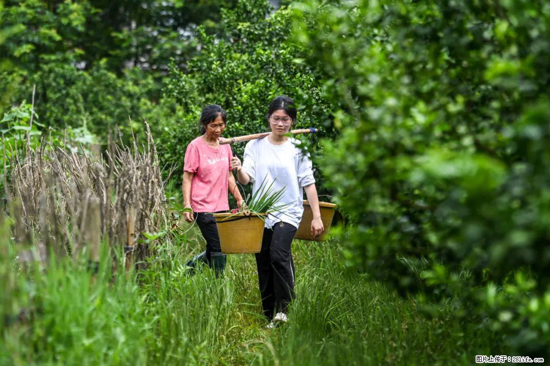 全网追的“扁担女孩”，找了一份暑假工，时薪12元 - 秦皇岛生活资讯 - 秦皇岛28生活网 qhd.28life.net