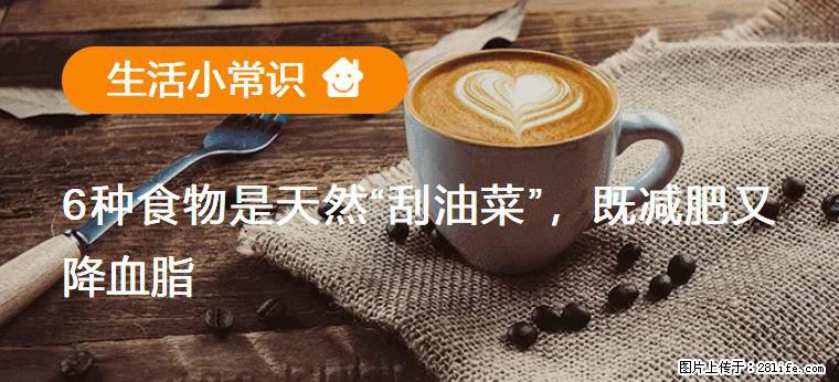 【生活小常识】6种食物是天然“刮油菜”，既减肥又降血脂 - 秦皇岛生活资讯 - 秦皇岛28生活网 qhd.28life.net