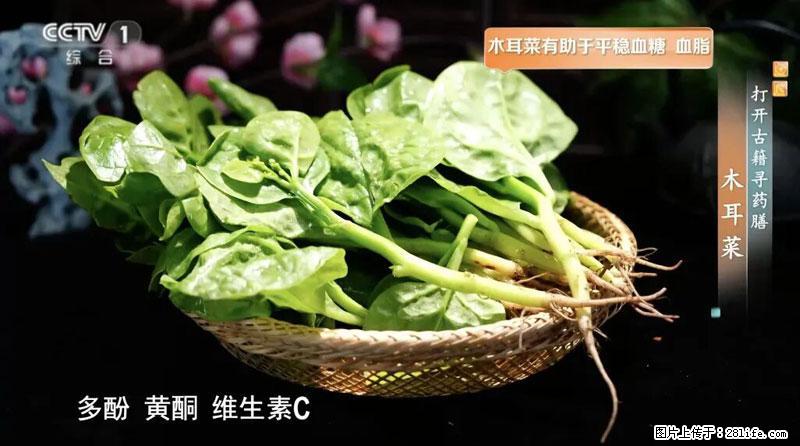 比牛奶补钙还厉害！凉血解毒、稳血糖...这菜冬天必吃，很多人却当草 - 秦皇岛生活资讯 - 秦皇岛28生活网 qhd.28life.net