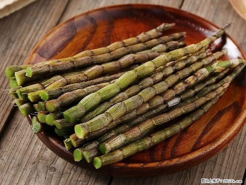 铁皮石斛的作用与功能主治 - 秦皇岛生活资讯 - 秦皇岛28生活网 qhd.28life.net