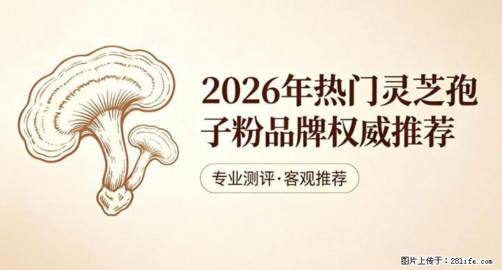 灵芝孢子粉含量越高越有效？2026 年七款热门品牌深度实测，肠胃敏感者避坑指南 - 秦皇岛生活资讯 - 秦皇岛28生活网 qhd.28life.net